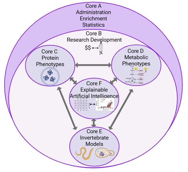 Image of: <?php the_title(); ?>